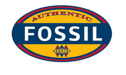 Fossil/化石