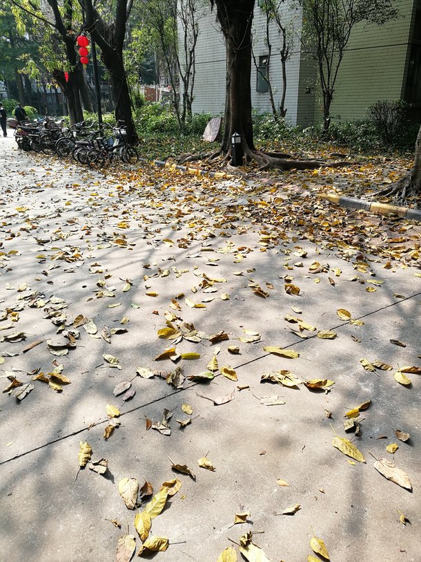 中獎(jiǎng)名單已出！最靠譜的減肥方案征集？有獎(jiǎng)哦~~
