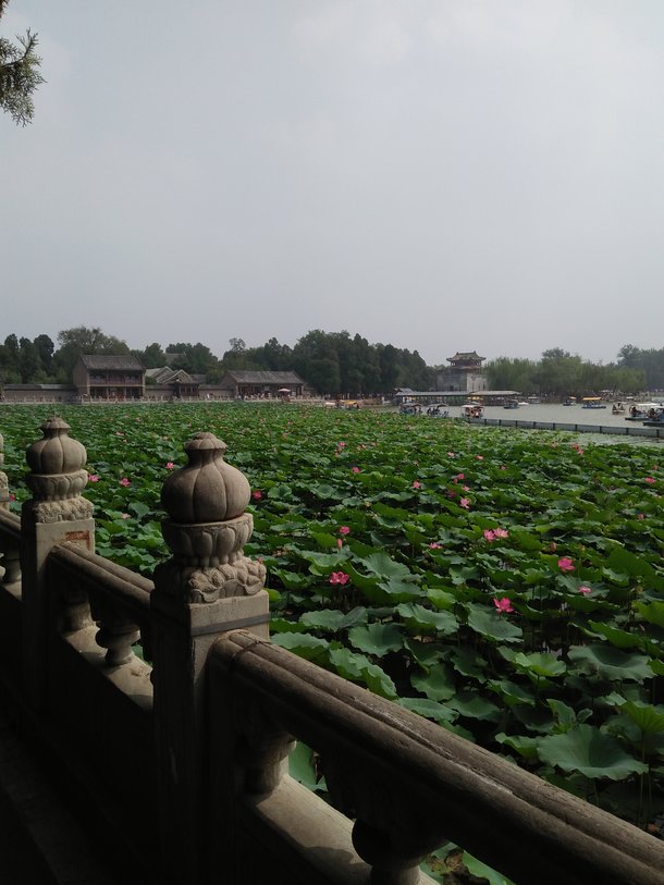 公布中獎名單~曬旅行！贏AKG經(jīng)典款頭戴式耳機(jī)！