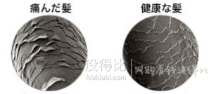 直發(fā)卷發(fā)兩用！Tescom 泰斯科瑪 naturam 負(fù)離子便攜式帶梳電吹風(fēng)機(jī) TIC305-D