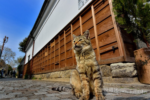 TOKINA 圖麗  AT-X 12-28mm F4 PRO DX 廣角變焦鏡頭   2299元包郵