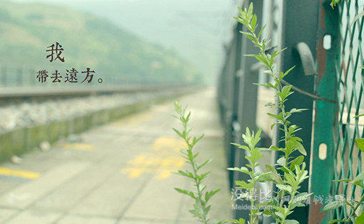 [專題]走！偷個時間，去旅行！——跟著小編一路向西