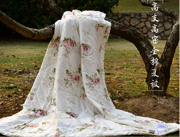 YISIDA 億斯達(dá)  13070高支高密全棉親膚雙人夏涼被 150*200cm    折39.5元 （79元，滿199-100）
