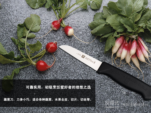 ZWILLING 雙立人   ZWILLING Enjoy蔬菜刀 38800-080