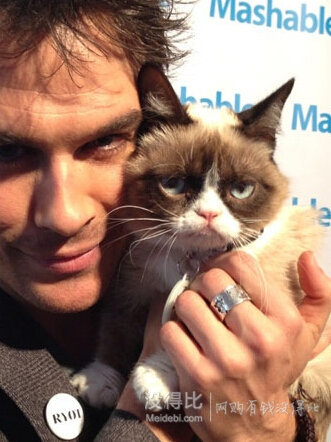Gund Grumpy Cat 不爽貓毛絨公仔