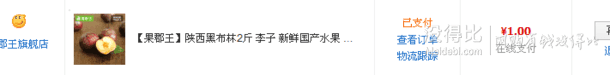 手慢無手機(jī)端：陜西黑布林2斤李子 1元包郵