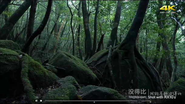 SONY 索尼 DSC-RX100 M4 黑卡數(shù)碼相機(jī)  5200元包郵