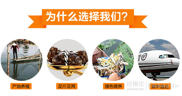 江浙滬皖包郵：陽(yáng)澄湖大閘蟹 2.2-2.6兩 4只裝   19.9元（69.9-30-20）