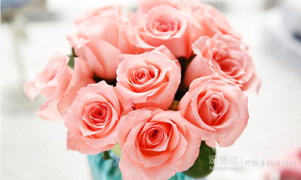 顺丰包邮！Aiweiyi  爱唯一 红粉香槟玫瑰 三色可选 11枝    19.9元包邮（158元，拍下立减+用券）