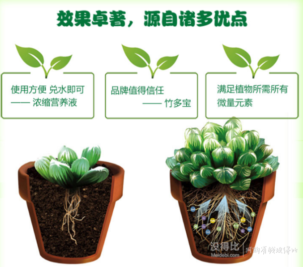 竹多宝 蔬菜花卉有机肥料 营养液 500g