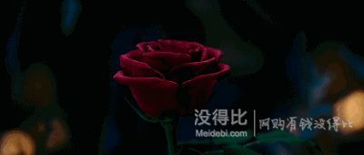 更新：中獎名單已出！【逢節(jié)送禮】——七夕節(jié)！春舞枝 七夕禮物玻璃罩擺件盒子 永生花 103元包郵（108-5）