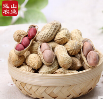 福建龙岩花生蒜香*咸酥*红皮三种口味500g*3袋