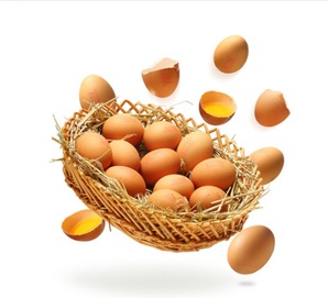 CP 正大食品 鲜鸡蛋 30枚 / 晋龙 鲜鸡蛋 30枚