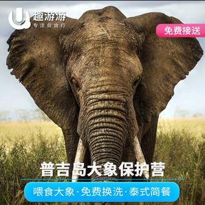 泰国普吉岛/清迈 大象保护营一日游 328元起