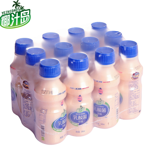 椰汁岛乳酸菌饮340ml12瓶