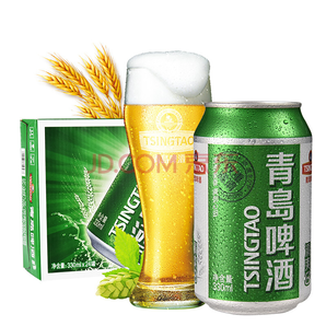 TsingTao 青岛啤酒 清爽8度330ml*24听 德国进口工艺整箱装 欢聚时刻 畅饮佳品