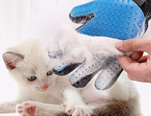 Pvy 猫梳子撸猫手套