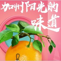 生鲜专题活动
