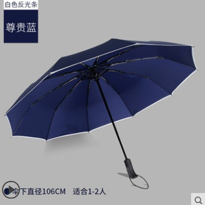 寶迪妮 加大10骨雙人安全反光自動(dòng)傘 多色 29包郵