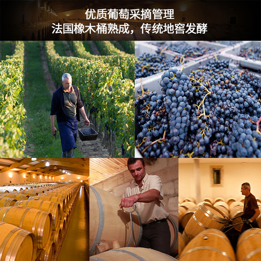 法国原瓶进口 louisd azenac aoc级 干红葡萄酒 750ml 经典的南罗讷