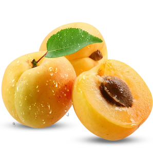 新疆喀什英吉沙 色买提杏子1.5kg