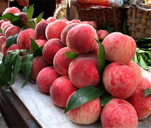 新鲜采摘！木木三果园 水蜜桃 4.8斤