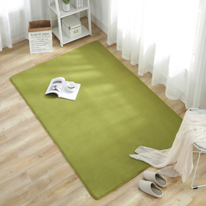 兴宇地毯 地毯 0.45x1.15米