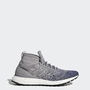 adidas 阿迪達斯 Ultraboost All Terrain 男款跑鞋