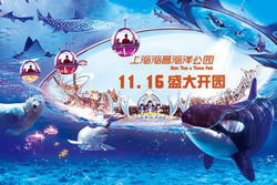 上海海昌海洋公园试运营门票6折抢购