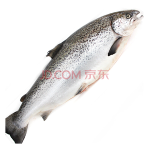 Gfresh 智利三文魚 整條 冰鮮 6-7kg 1條 +湊單品 643.16元（雙重優(yōu)惠）