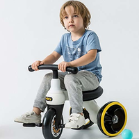 致暖Warmest 儿童平衡车 婴儿滑行学步车 宝宝周岁生日礼物 乐的系列扭扭车滑行玩具车三轮车脚踏车 助步车 (白色 三轮车)