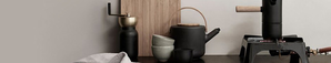 Stelton 丹麦设计师品牌啄木鸟水壶 优惠活动