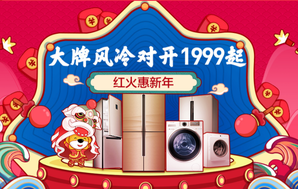 某宁 冰洗促销专场 年货带回家