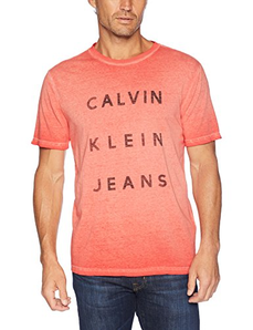 Calvin Klein Reverse Calvin Logo 男T恤