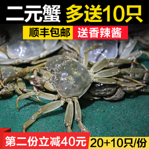 六月黄二元蟹小螃蟹鲜活公母20只0.5-0.8两大闸蟹河蟹毛蟹香辣蟹