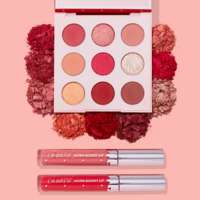 Colourpop Strawberry Collection 草莓眼影盤 唇釉套裝