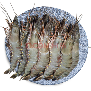 越南活冻大号黑虎虾 海鲜 进口超大虎虾生鲜虾类 生冻大草虾净重约700g*2