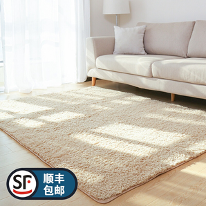 征成地毯卧室床边毯 40*60cm