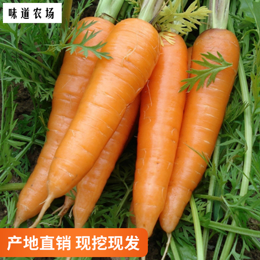 味道农场 水果胡萝卜 5斤 5.9元包邮(需用券)