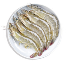 皇港码头 厄瓜多尔进口 活鲜大白虾0.8斤装*3件   