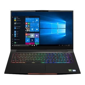 EVOO 17.3吋 游戲筆記本電腦 (i7-9750H, 2060, 16GB)