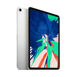 Apple 蘋果 2018款 iPad Pro 11英寸平板電腦 銀色 WLAN Cellular版 1TB