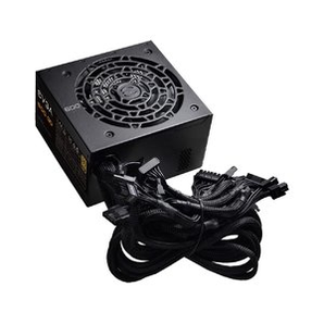 EVGA 600 GD 600W 80+ 金牌電源