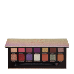 Anastasia Beverly Hills X Jackie Aina 合作款14色眼影