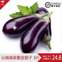 云南新鲜蔬菜长茄子露天种植 5斤装