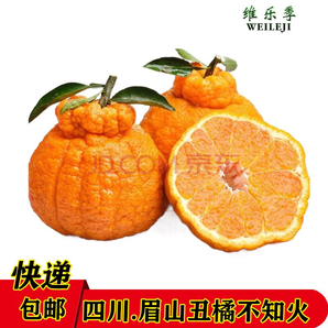 维乐季 四川眉山丑柑橘不知火 10斤（大果）果径80mm以上