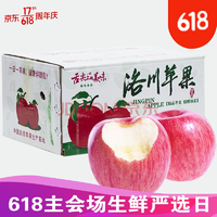 洛川苹果80~85mm大果 （礼盒5斤装）