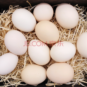 【灵宝扶贫馆】鸡蛋 黄河滩区新鲜鸡蛋 农家土笨鸡蛋 8枚