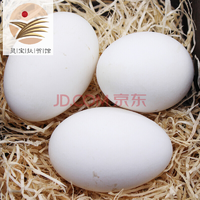 【灵宝扶贫馆】鹅蛋 黄河滩区新鲜土鹅蛋 孕妇放心的鹅蛋 6枚（80g-100g/枚）