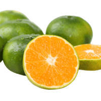 蜜桔青皮桔子应季橘子水果5斤 